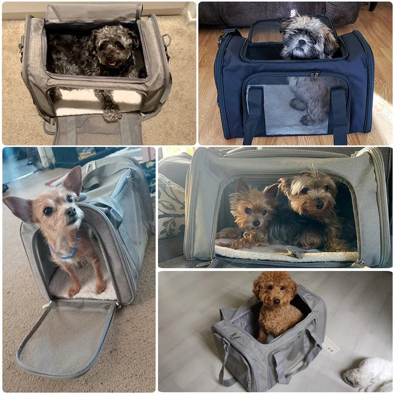 Bolsa transportadora para cães, mochila lateral macia para transportar animais de estimação, bolsa de viagem aprovada pela companhia aérea, transporte para cães pequenos e gatos